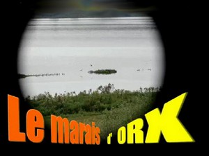 Découverte du marais d'Orx